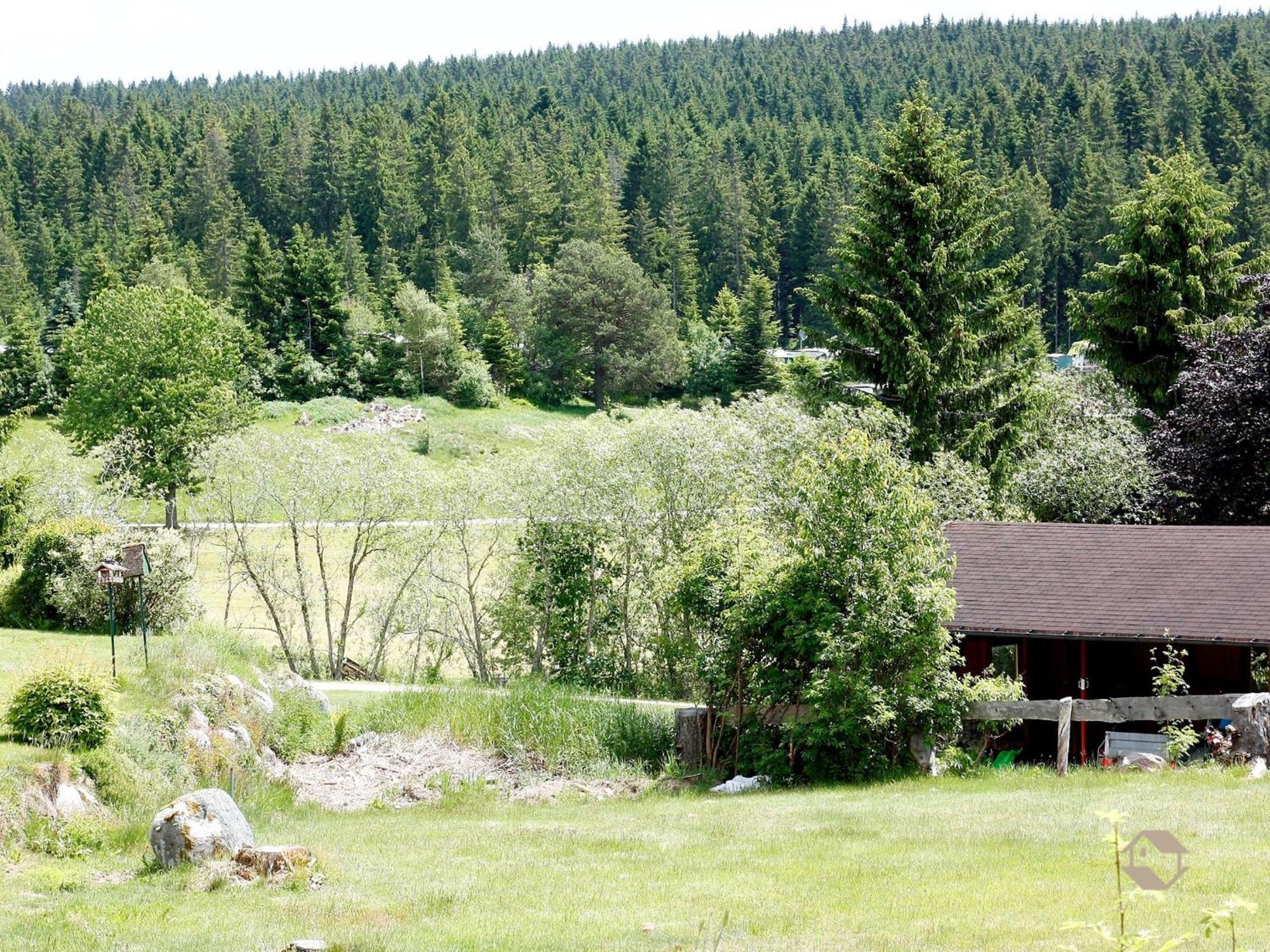Haus Dörflinger Lägenhet Schluchsee Exteriör bild